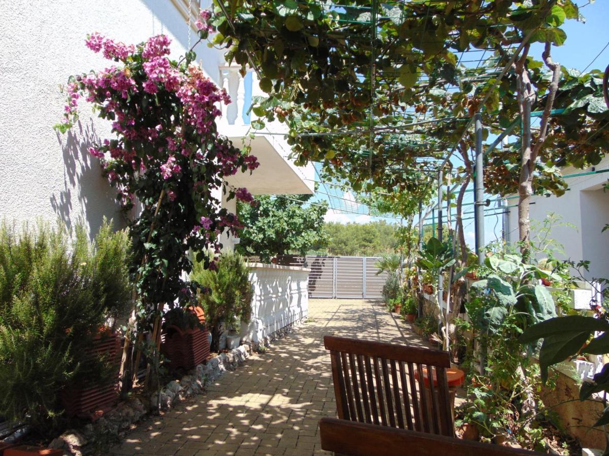 Petra Apartment Biograd Na Moru