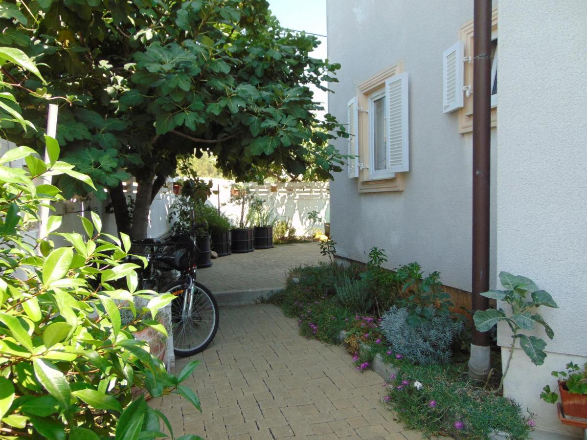 Petra Apartment Biograd Na Moru