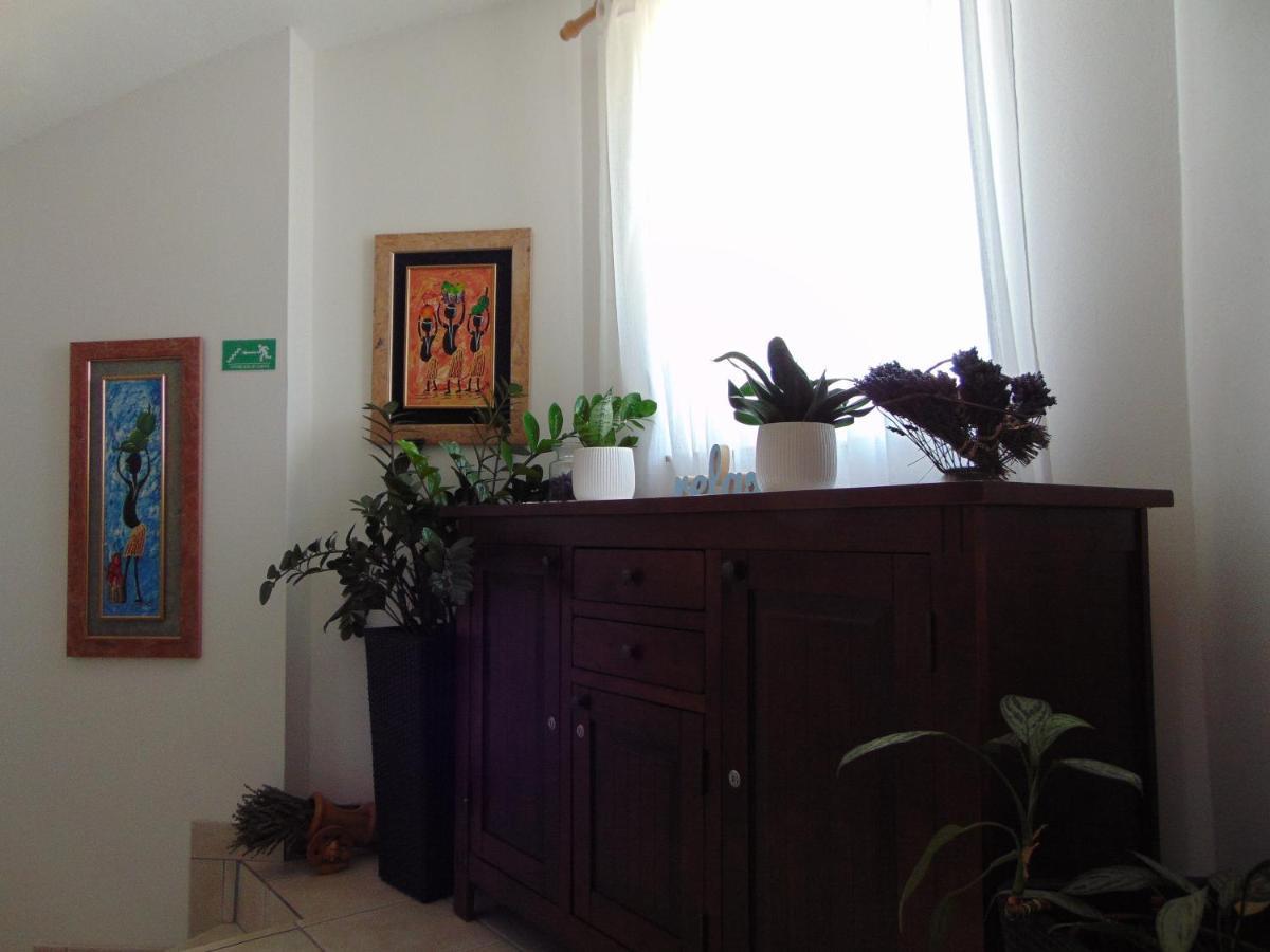Apartment Petra